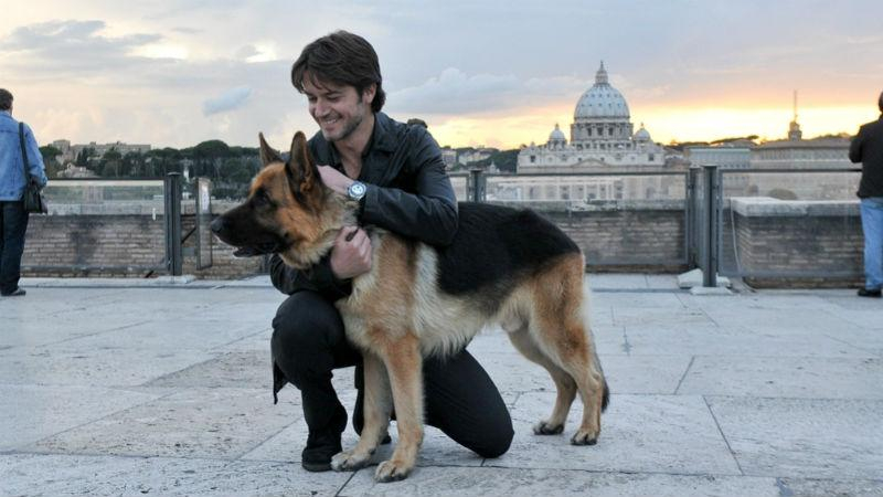 В Украине будут снимать своего "Рекса". В главной роли – скандальный актер Пашинин