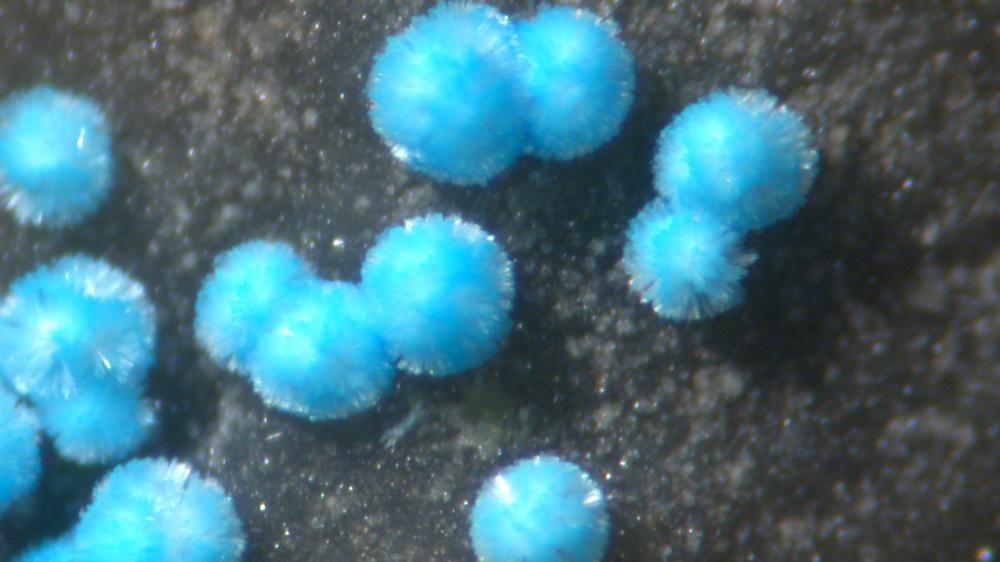 Науковці створили перелік найбільш рідкісних мінералів на планеті Науковці створили перелік найбільш рідкісних мінералів на планеті