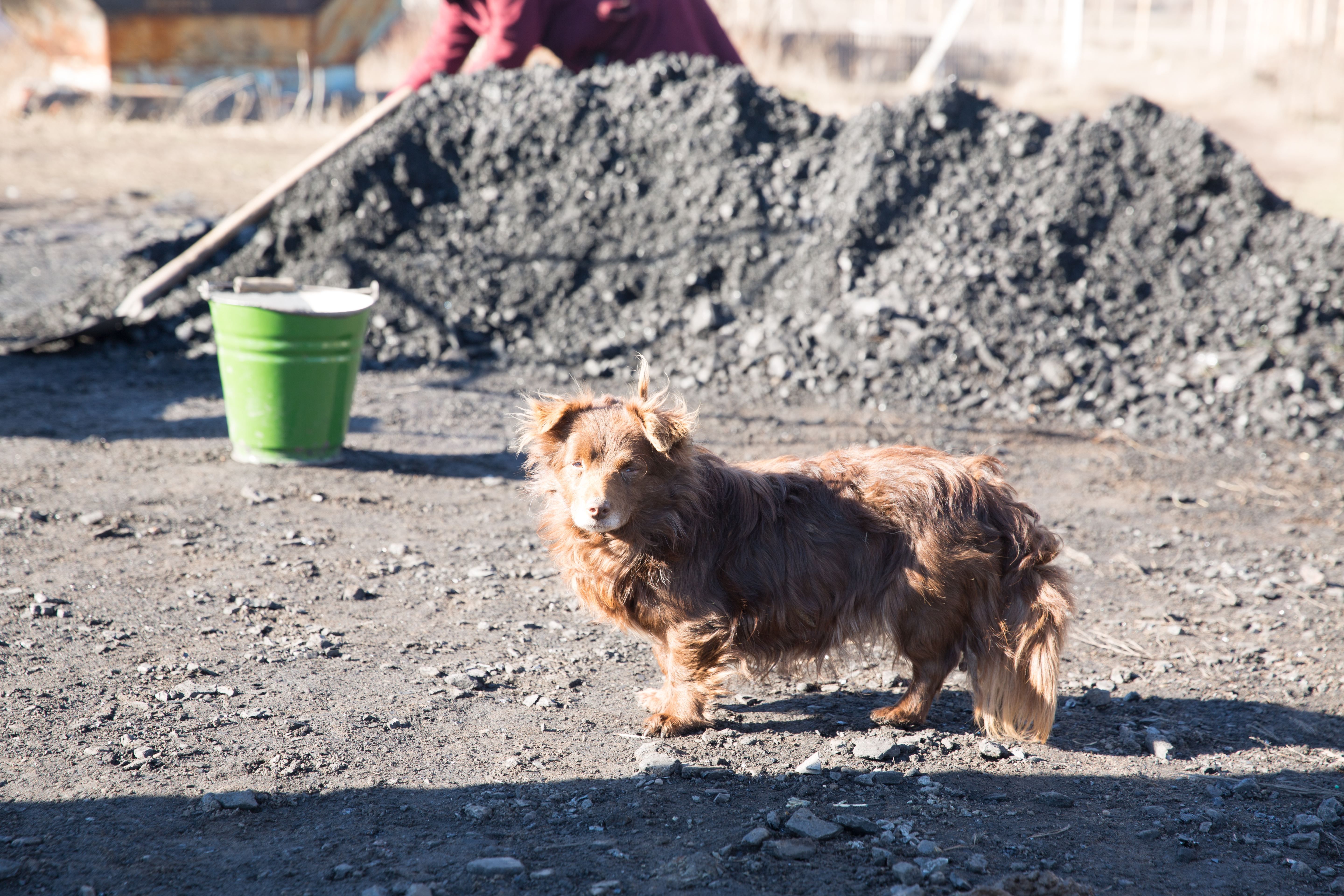 Життя на лінії вогню: ексклюзивні фото із Зайцевого Життя на лінії вогню: ексклюзивні фото із Зайцевого