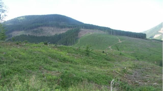 У мережі показали вражаючі фото "лисих" Карпат У мережі показали вражаючі фото "лисих" Карпат