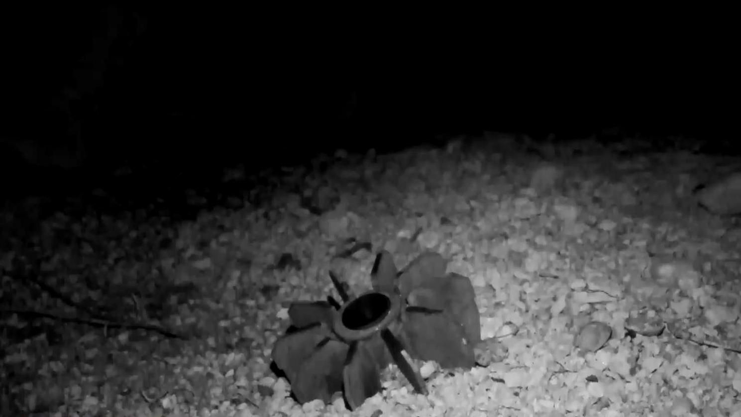 Ночь в Песках: эксклюзивный репортаж о жизни на передовой Ночь в Песках: эксклюзивный репортаж о жизни на передовой