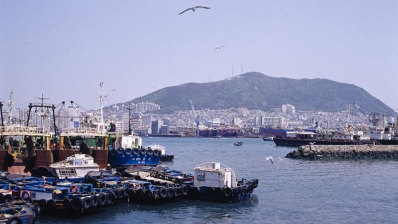 Украинские моряки застряли в корейском порту: ситуация критическая