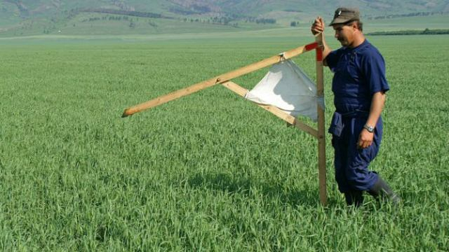 Продажа земли на прозрачном аукционе будет важной в реформировании земельных отношений, — нардеп