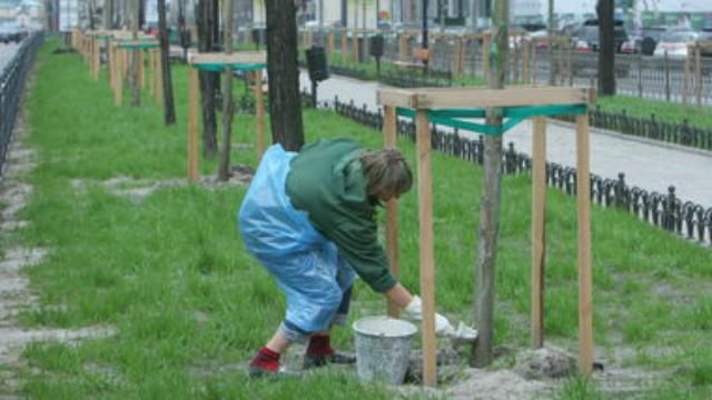 "Київзеленбуд" за три роки завдав шкоди на 22 мільйонів гривень