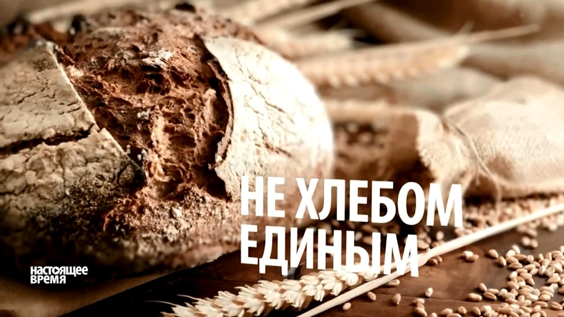 Виробники хліба зізналися, що продають росіянам продукцію із низькосортного зерна
