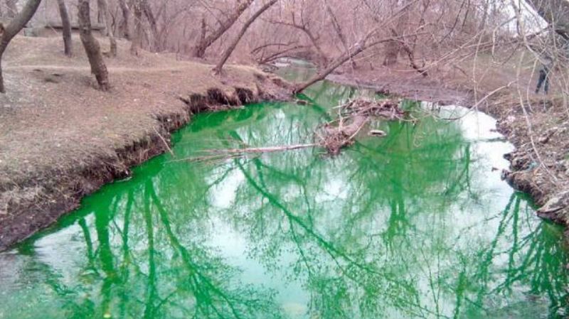 У Кіровограді річка раптово позеленіла