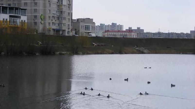 З озера у Києві дістали тіло жінки З озера у Києві дістали тіло жінки