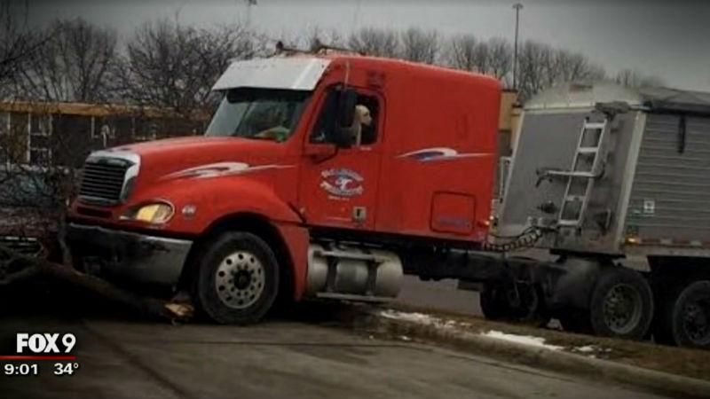 Дуже незвична ДТП: собака за кермом зчинив аварію Дуже незвична ДТП: собака за кермом зчинив аварію