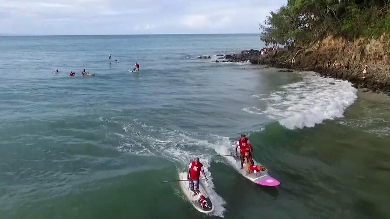 Одразу декілька екстремальних фестивалів проходять у різних куточках планети Одразу декілька екстремальних фестивалів проходять у різних куточках планети
