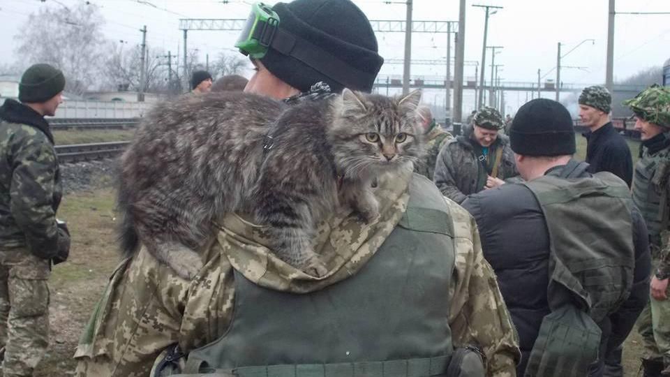 Українські бійці повертаються з фронту з чотирилапими "бойовими побратимами"