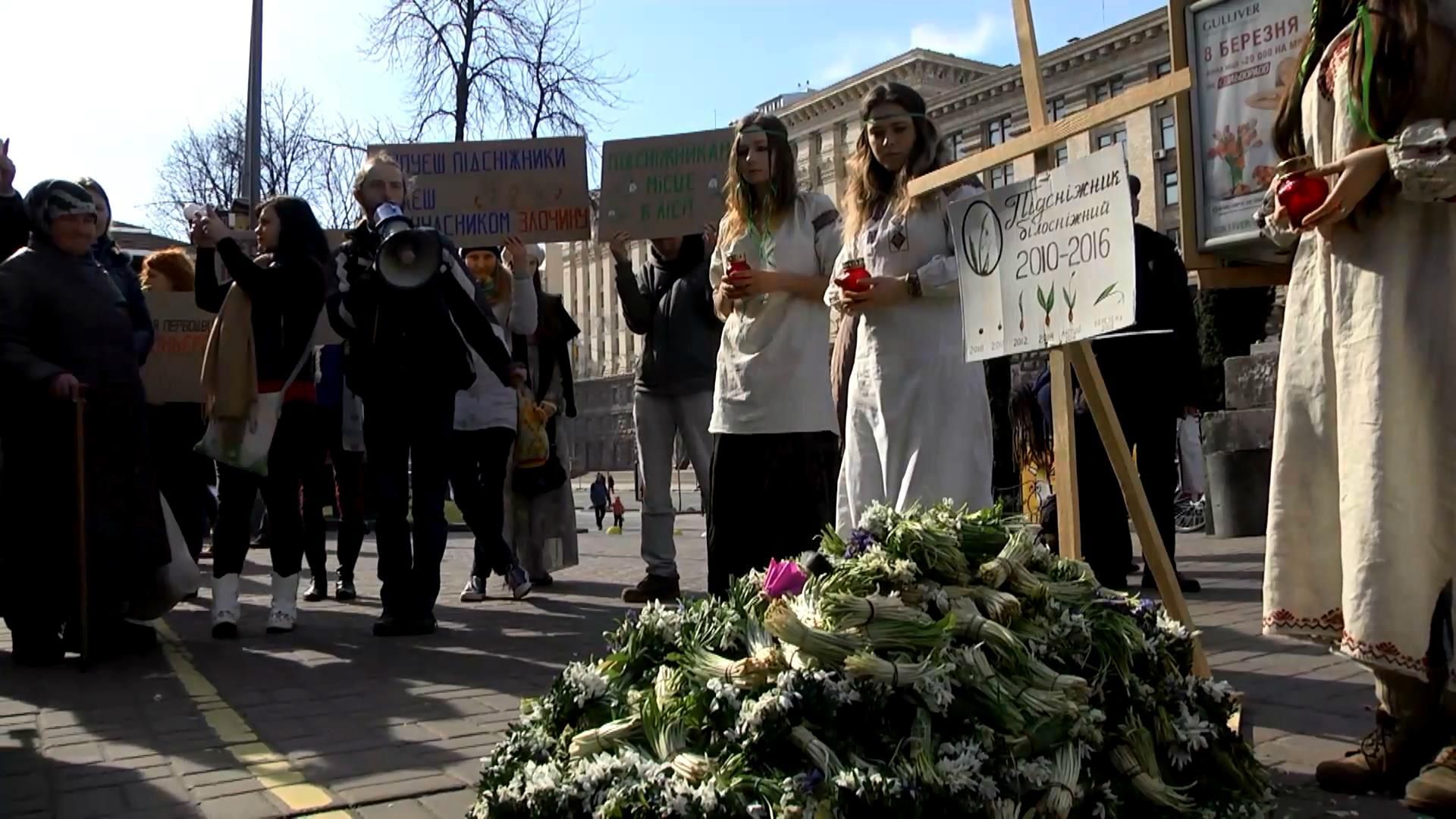 Зачем в Киеве организовали "кладбище мертвых цветов"