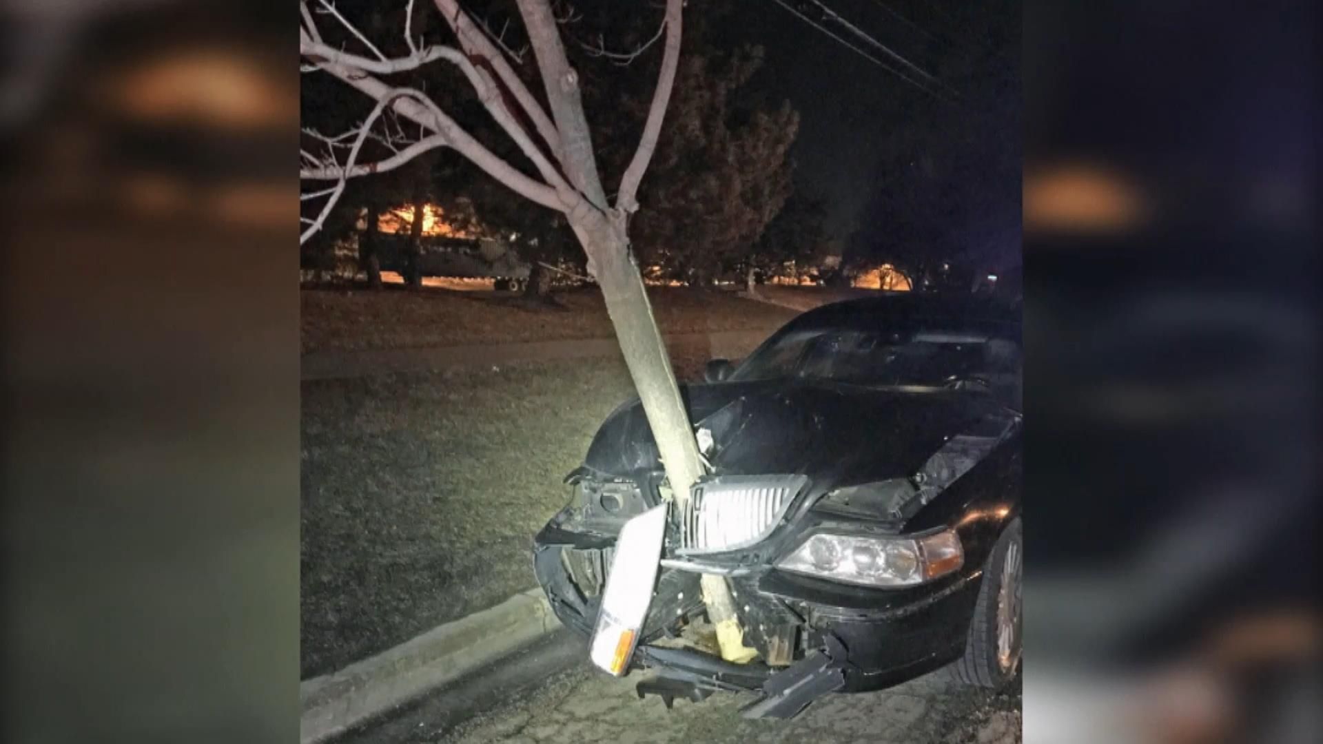 П'яна жінка проїхалась з велетенським деревом у капоті П'яна жінка проїхалась з велетенським деревом у капоті