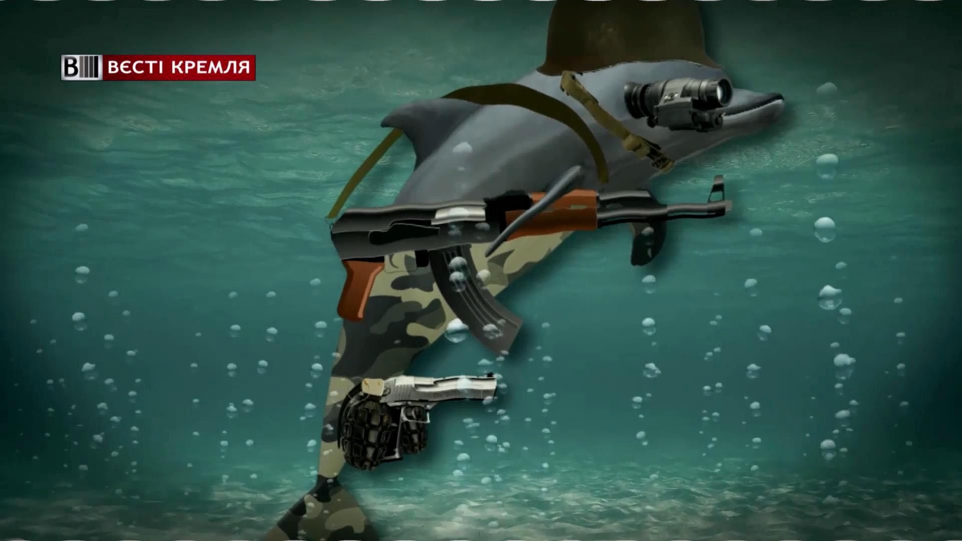 В российской армии появятся боевые дельфины