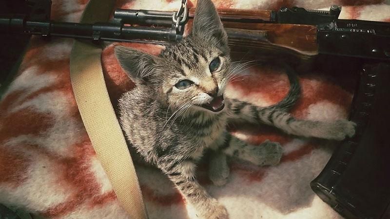 Запальний танець військового, який піднімає настрій Запальний танець військового, який піднімає настрій