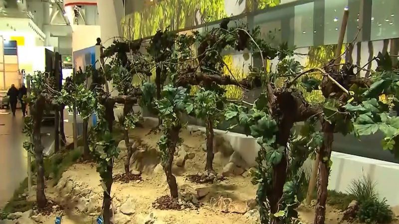 Умный виноградник и чувствительный робот: чем удивили на масштабной выставке инноваций