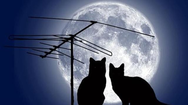 Сколько стоит участок земли на Луне, Венере и Марсе Сколько стоит участок земли на Луне, Венере и Марсе