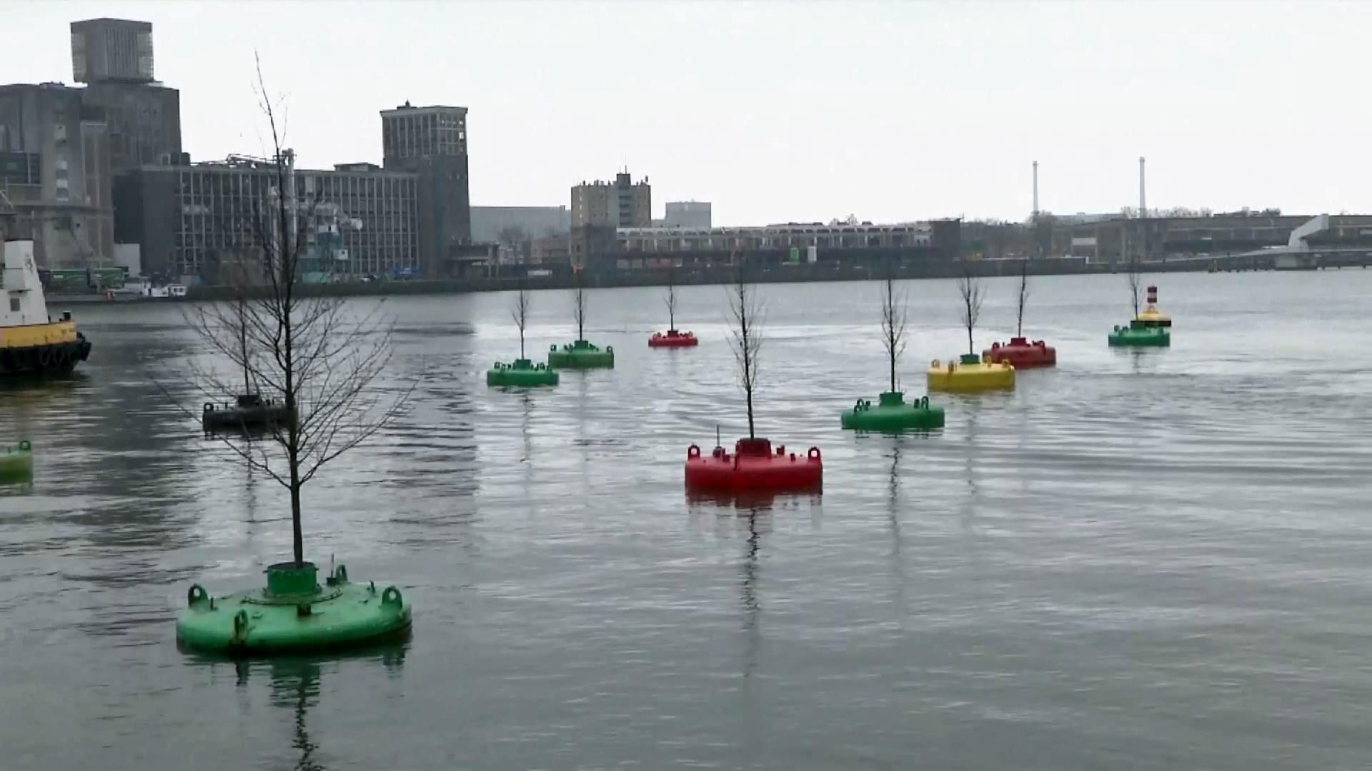 В Нидерландах появился плавучий лес В Нидерландах появился плавучий лес