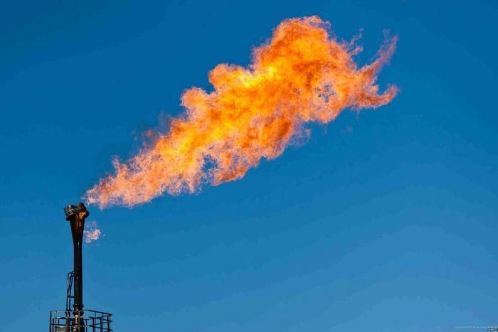 Керівництво "Укргазвидобування" віддали російським спецслужбам, – Головко Керівництво "Укргазвидобування" віддали російським спецслужбам, – Головко