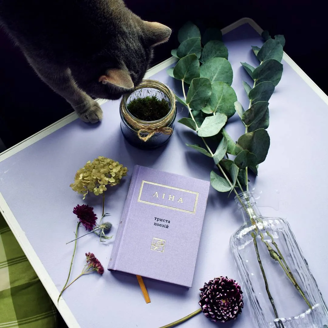 Ліна Костенко цитати Ліна Костенко цитати