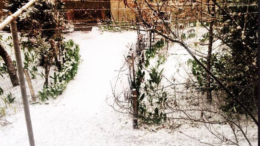 Невдала версія весни: як у соцмережах відреагували на несподіваний сніг Невдала версія весни: як у соцмережах відреагували на несподіваний сніг