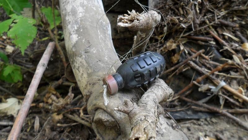 На растяжке в зоне АТО подорвался украинский военный На растяжке в зоне АТО подорвался украинский военный