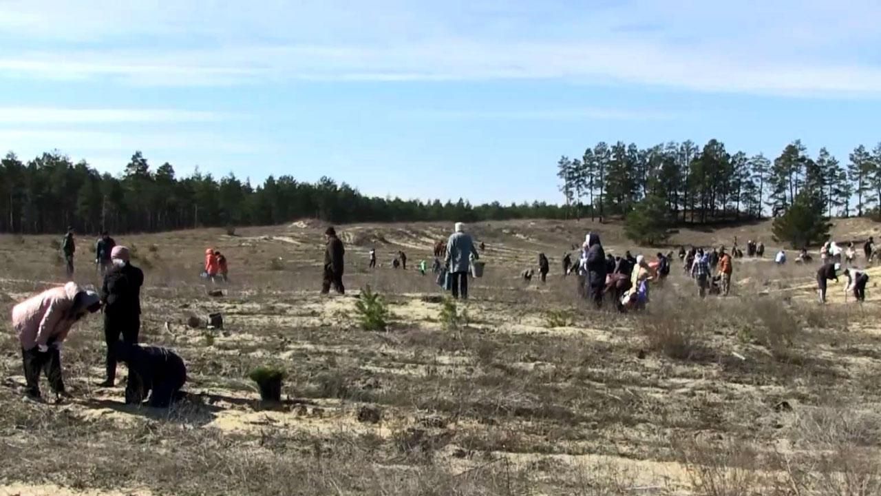 В Херсонской области люди спасают территорию от наступления песков