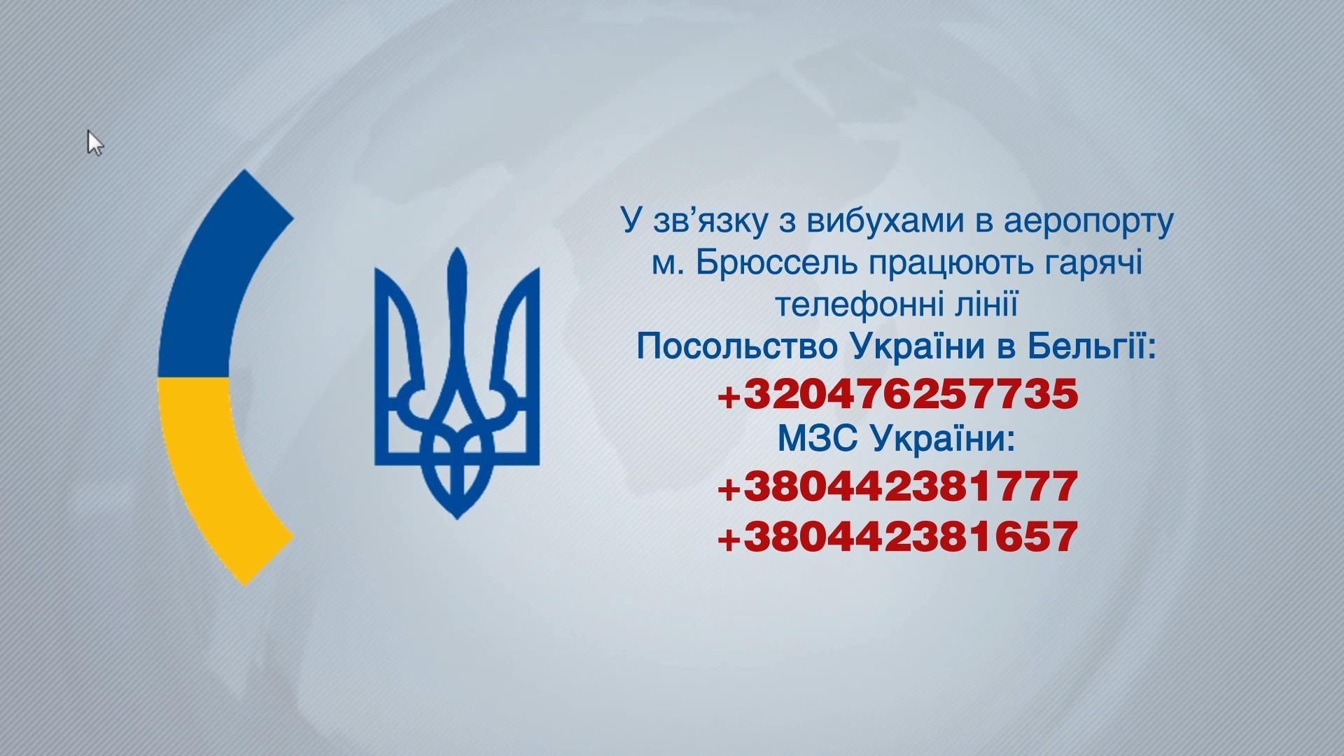 Важно знать: горячая линия Посольства Украины в Бельгии