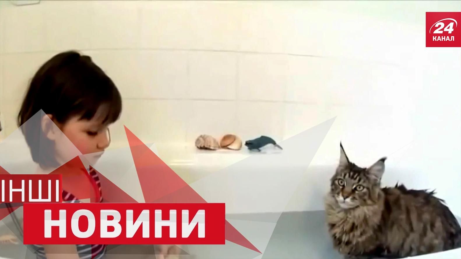 ІНШІ новини. Навіщо зірка футболу зайнялася "вандалізмом". Кіт лікує дівчинку від аутизму ІНШІ новини. Навіщо зірка футболу зайнялася "вандалізмом". Кіт лікує дівчинку від аутизму