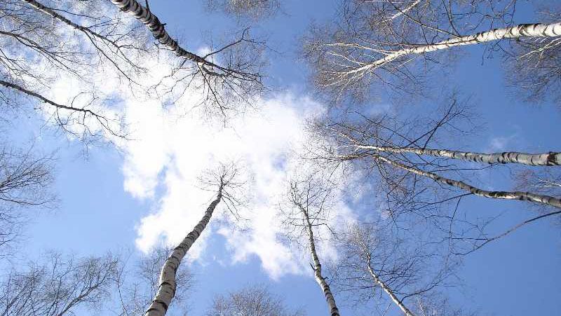 Погода потішить українців на вихідних Погода потішить українців на вихідних