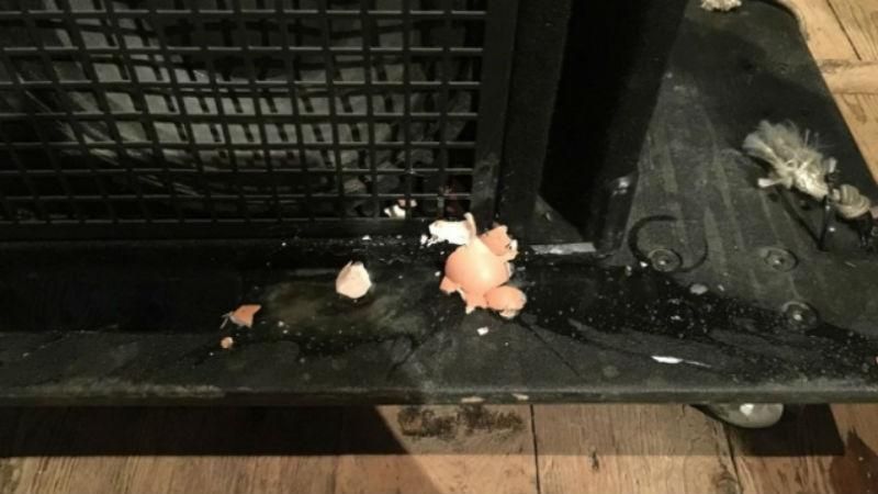 В Криму російських рокерів закидали яйцями В Криму російських рокерів закидали яйцями