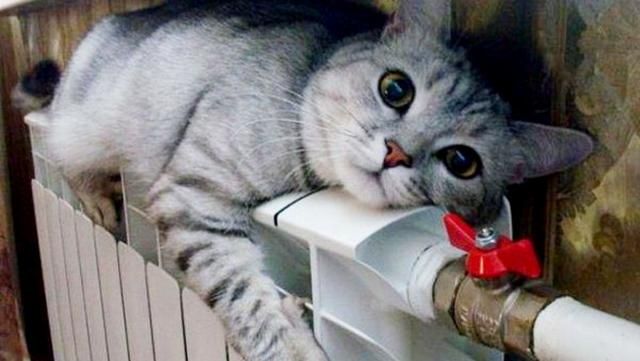 Киянам повернули за опалення майже 124 мільйони гривень Киянам повернули за опалення майже 124 мільйони гривень