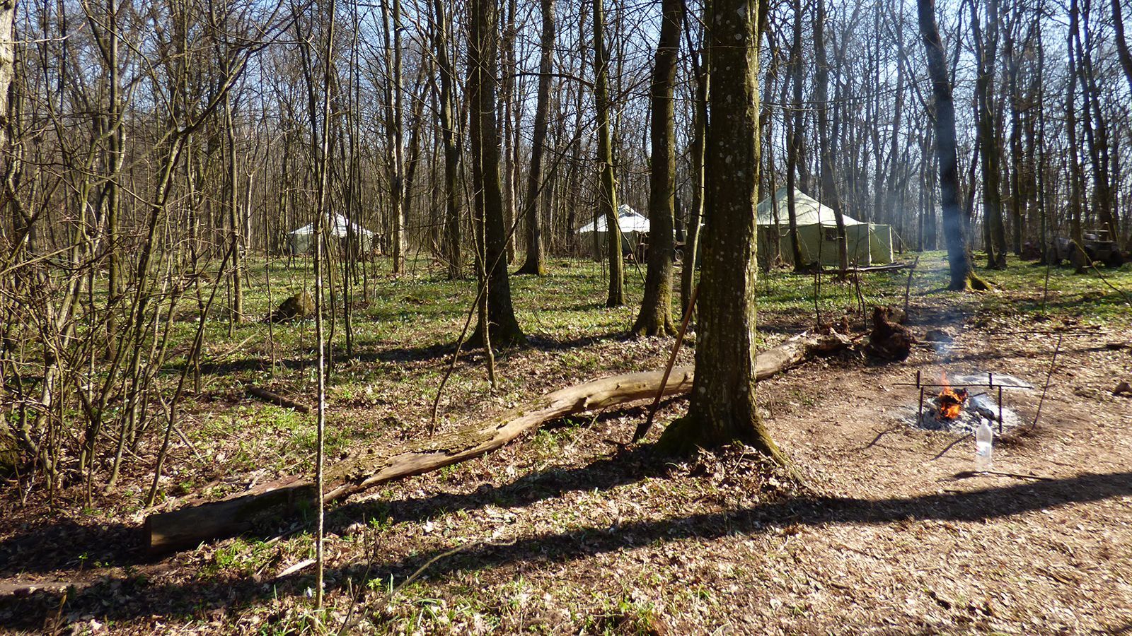 В Минобороны выяснят, почему военные учения хотели провести в заповеднике В Минобороны выяснят, почему военные учения хотели провести в заповеднике