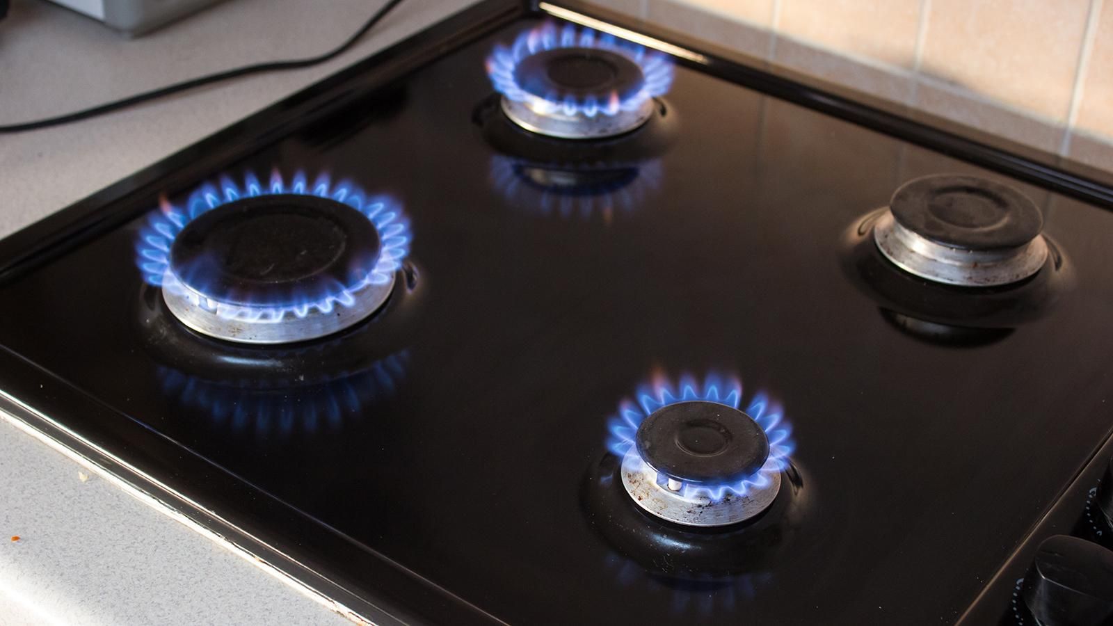 Правительство продлило льготы на газ для населения Правительство продлило льготы на газ для населения