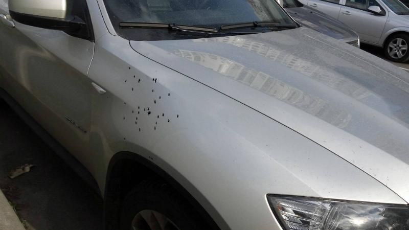 Обстреляли авто адвоката "бриллиантового прокурора": появились фото
