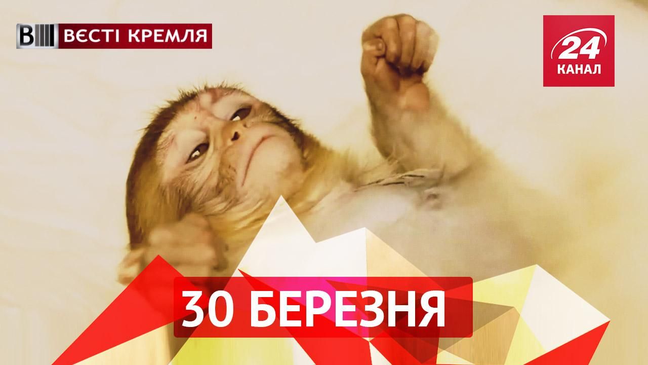 Вести Кремля. Жириновский придумал новую чушь. Российская армия пополняется животными Вести Кремля. Жириновский придумал новую чушь. Российская армия пополняется животными