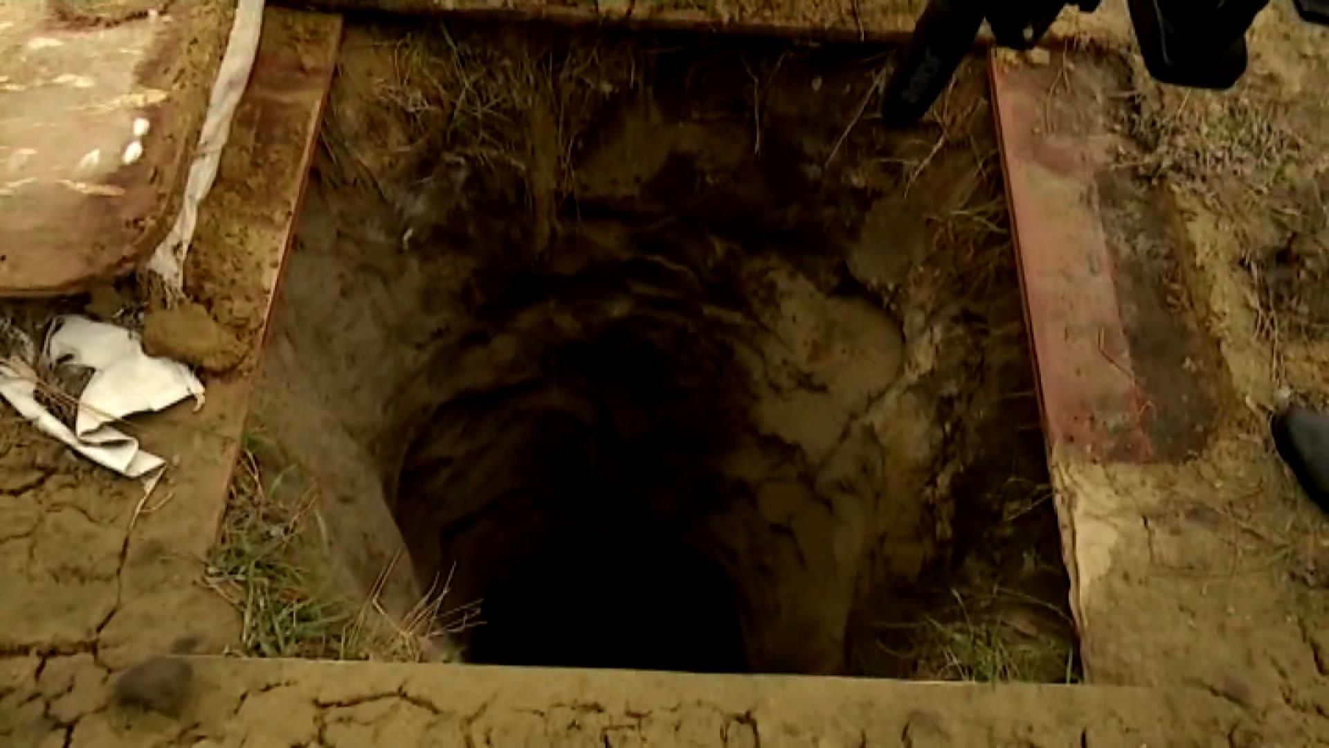 "Чорні" археологи пограбували скіфську могилу