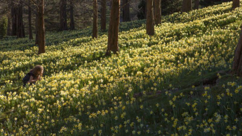 Погода: синоптики обещают до +20 градусов, но с дождями Погода: синоптики обещают до +20 градусов, но с дождями
