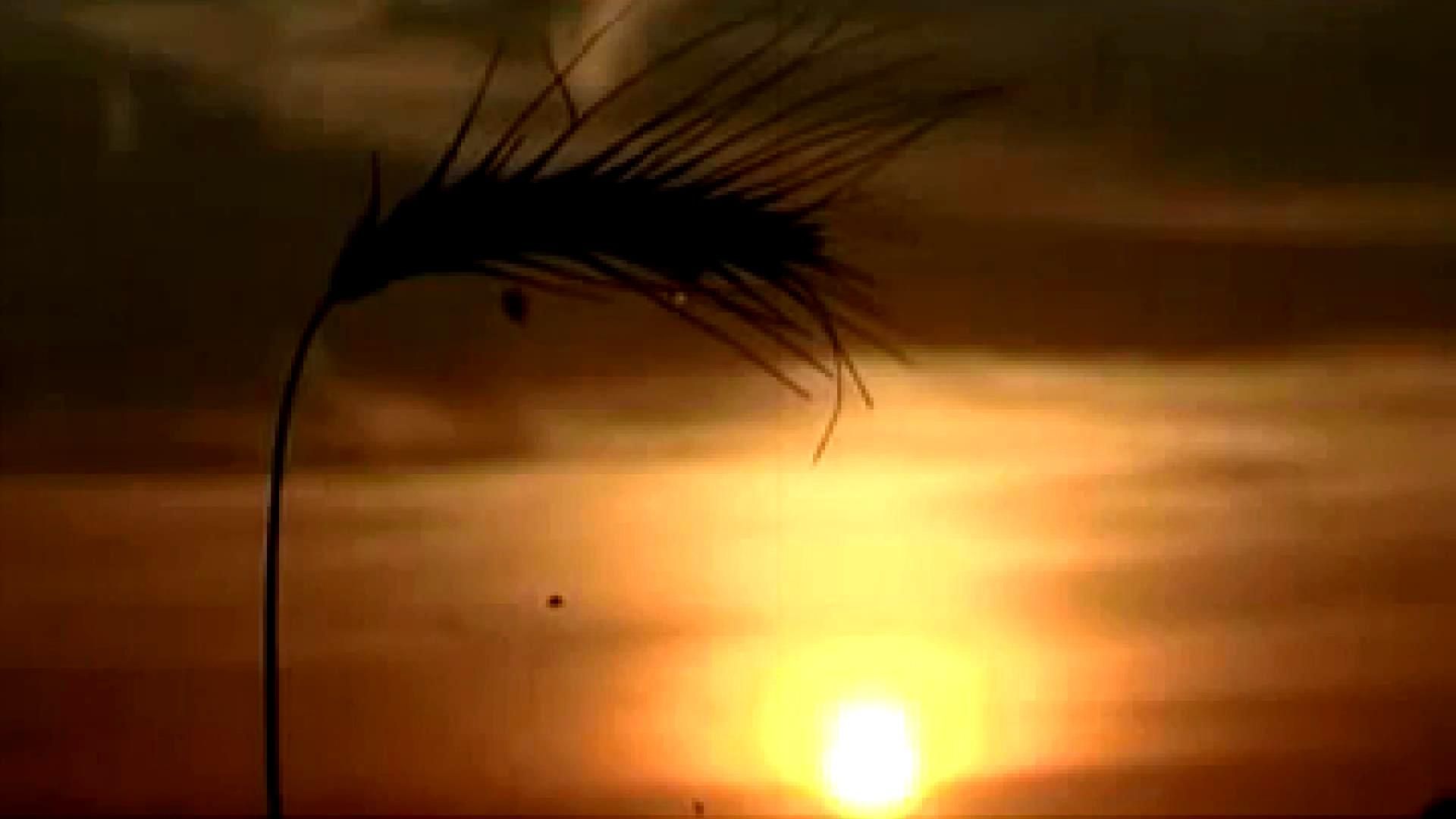 Який день українці здавна вважали найважливішим навесні Який день українці здавна вважали найважливішим навесні