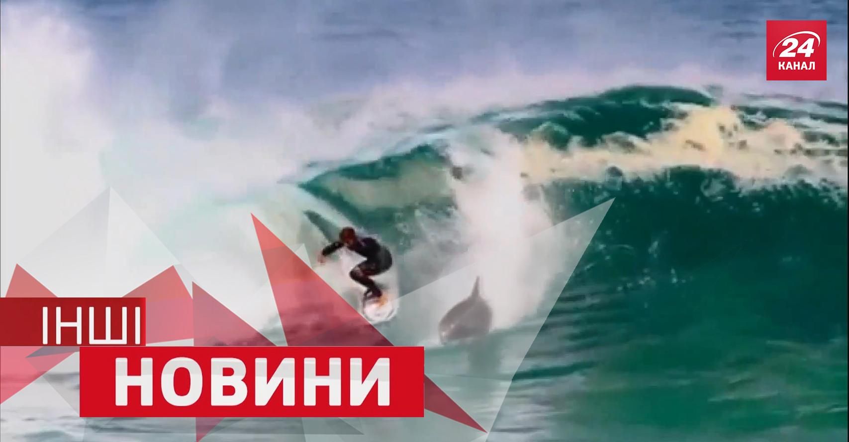 ІНШІ новини. Дрон тепер ще й малює. Дельфін навчив серфера підкорювати хвилі ІНШІ новини. Дрон тепер ще й малює. Дельфін навчив серфера підкорювати хвилі