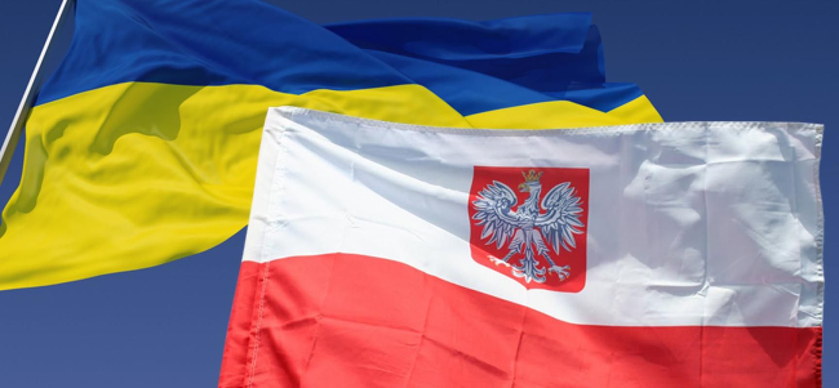 Торговля с Польшей: какие товары импортирует Украина?