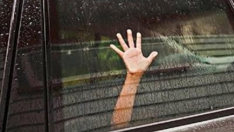 Под Киевом средь бела дня похитили ребенка Под Киевом средь бела дня похитили ребенка