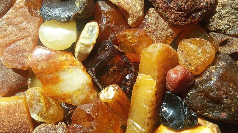 Массовая добыча янтаря в Житомирской области прекращена, — Нацгвардия