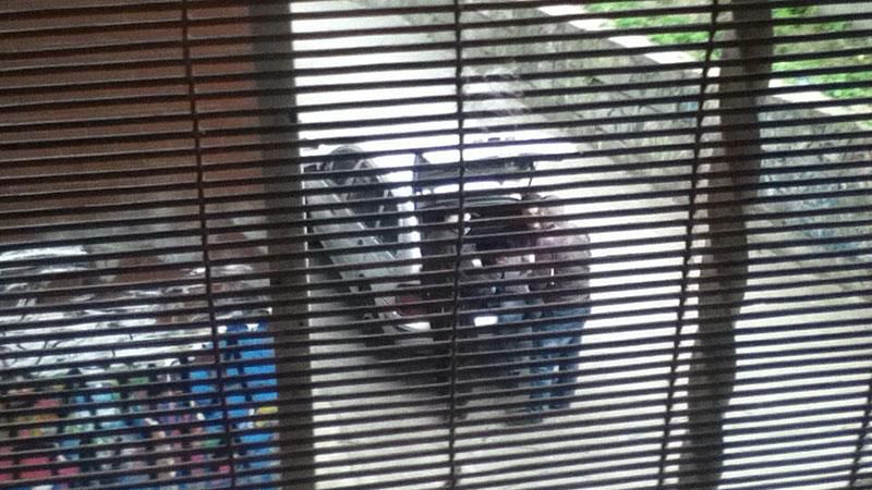 Авто вбивці бізнесмена знайшли недалеко від місця злочину Авто вбивці бізнесмена знайшли недалеко від місця злочину