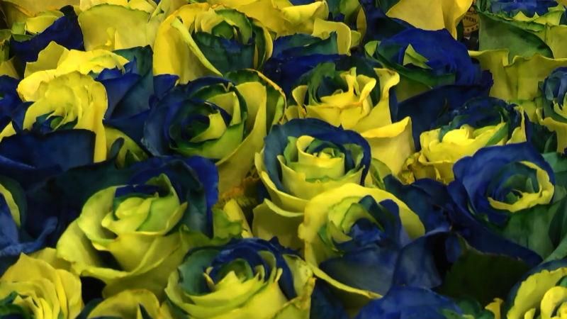 Патриотические розы и букет-портрет для Русланы: как поражали флористы в Киеве