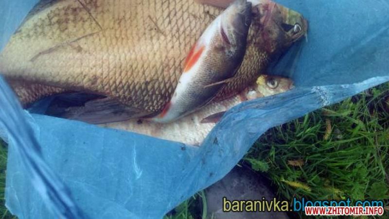 Экологическое бедствие на Житомирщине. Объявлена чрезвычайная ситуация Экологическое бедствие на Житомирщине. Объявлена чрезвычайная ситуация