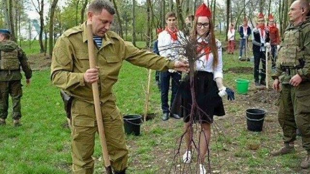 В соцсетях хохочут с фото Захарченко, который сажает дерево корнями вверх