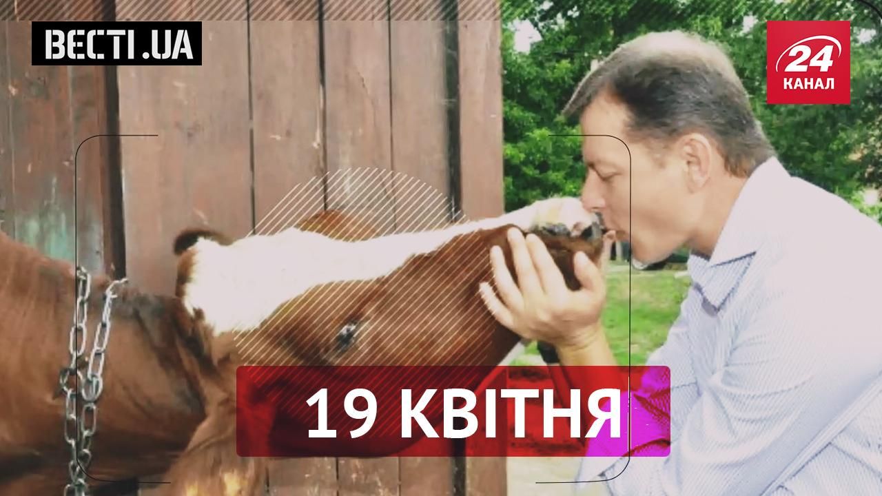 Вести.UA. Ляшко хочет целовать коров, а не женщин. Какое министерство стоит дороже