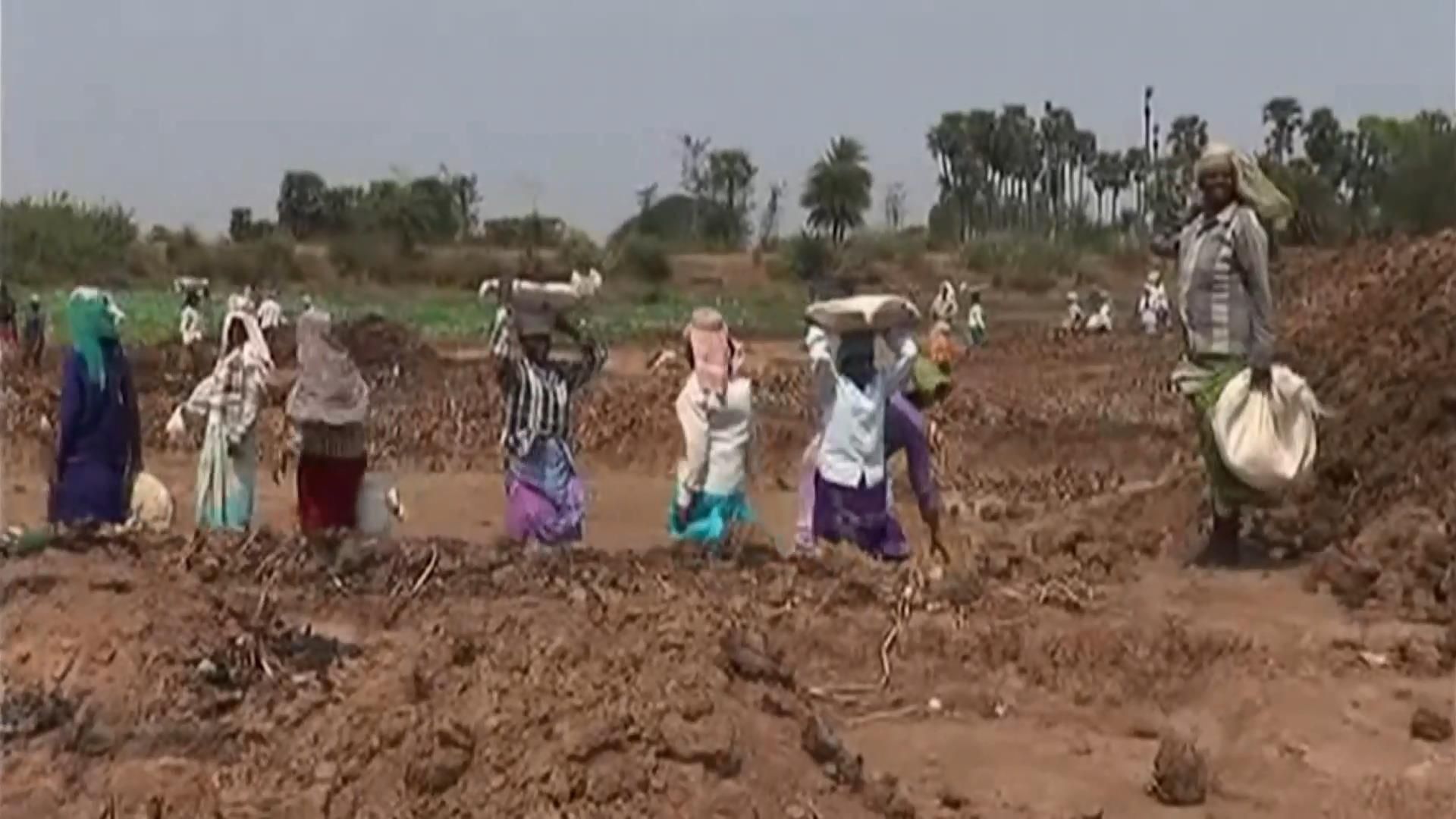 Смертельная жара бушует в Индии: жертв считают десятками Смертельная жара бушует в Индии: жертв считают десятками