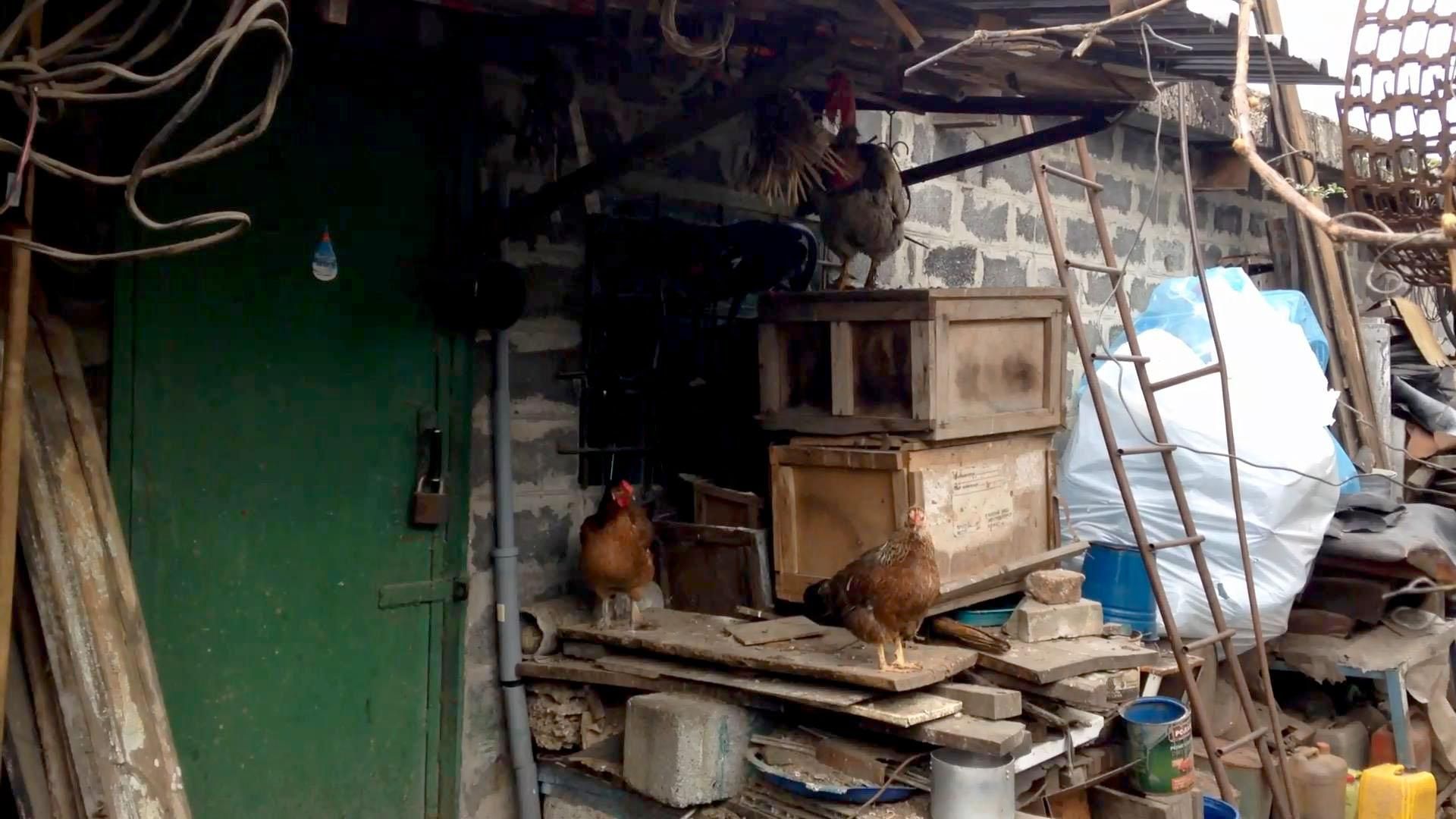 Черкащанин незаконно обустроил сарай вместо детской площадки Черкащанин незаконно обустроил сарай вместо детской площадки