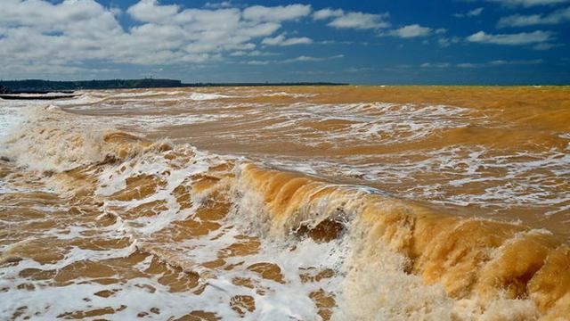 У Криму пожовтіло море: з'явилися фото